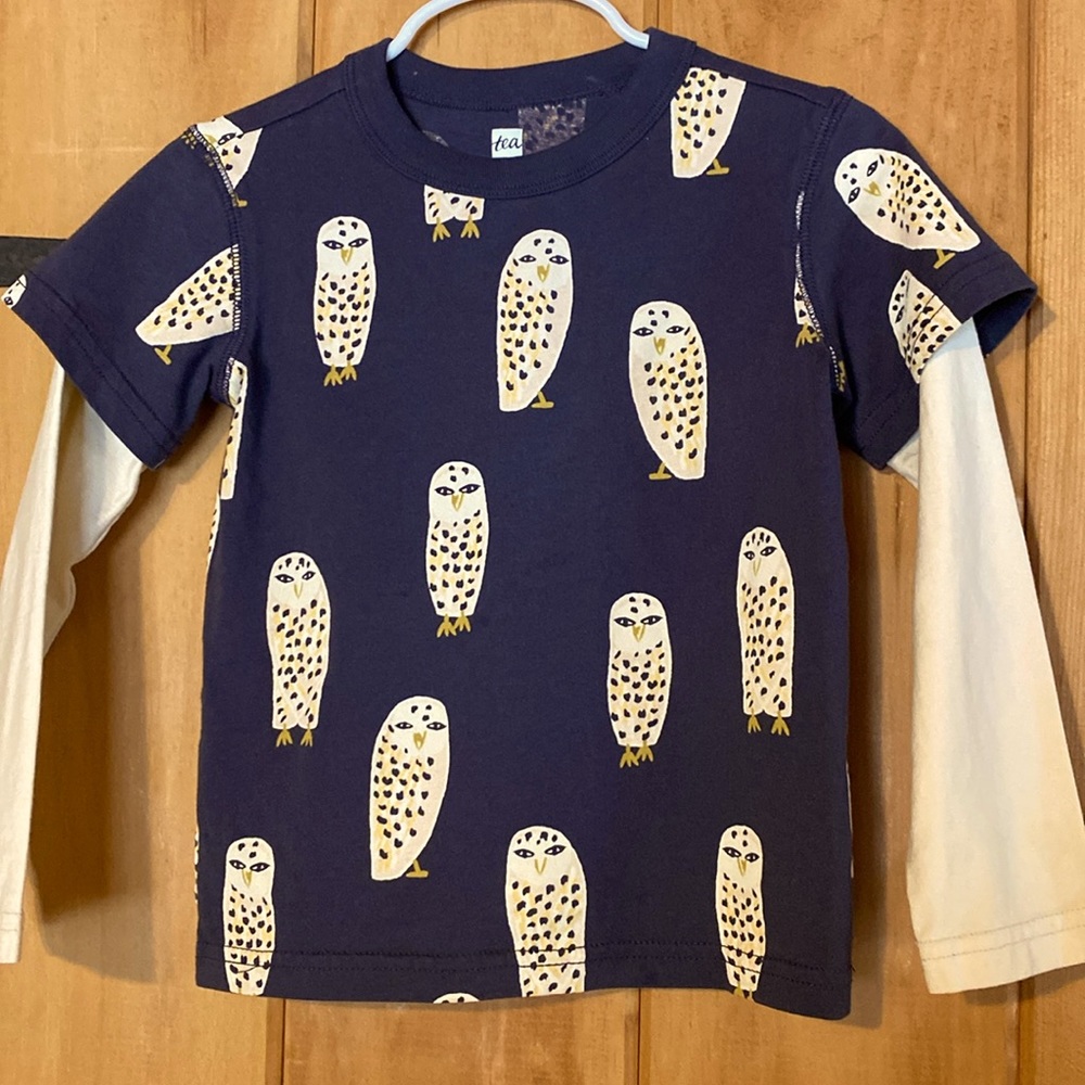 Long sleeve layered Tee Tea Collection size 4